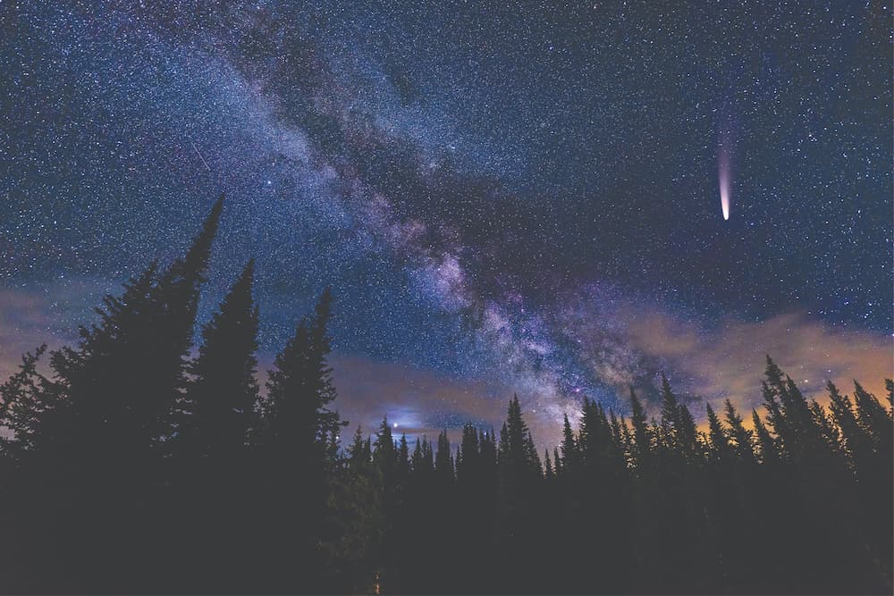comet soaring through star-filled night sky in the forest